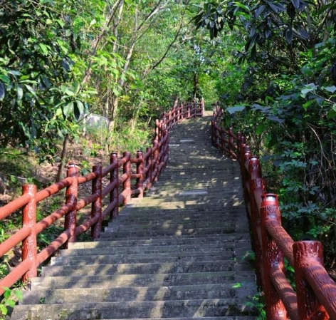 步道封閉替代 步道封閉替代