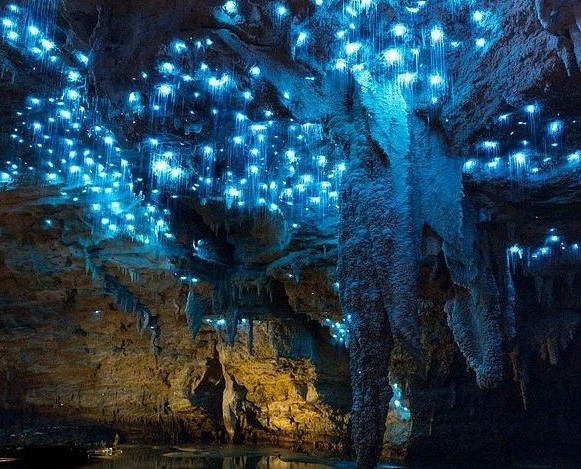 紐西蘭北島行程