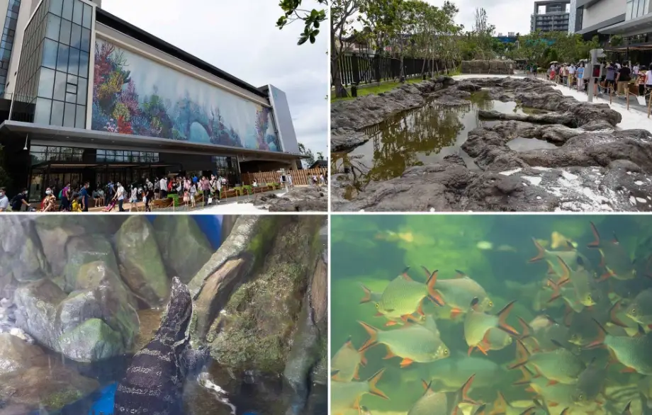 桃園情侶約會 桃園情侶約會