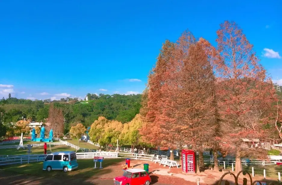 桃園情侶約會 桃園情侶約會