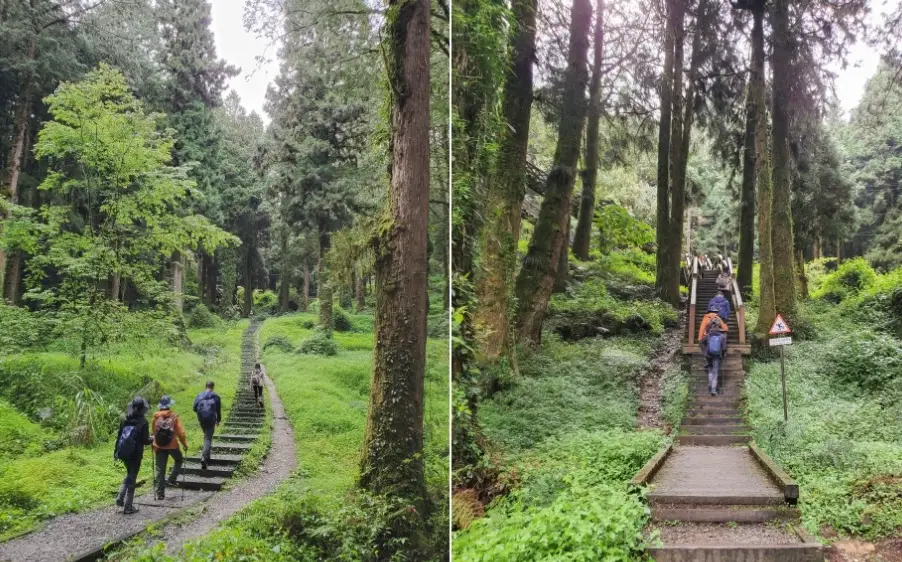 阿里山步道推薦