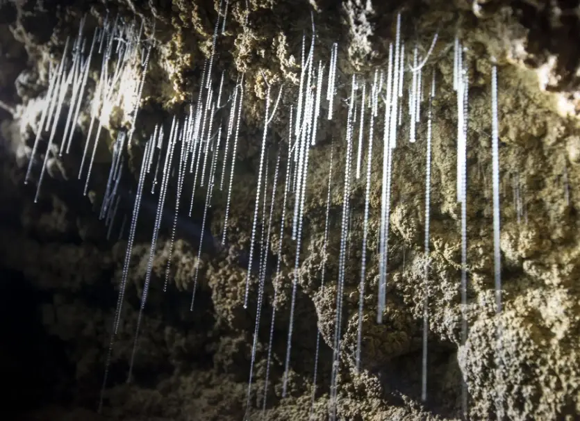 紐西蘭北島旅遊