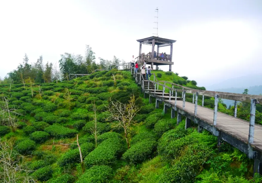 溪頭隱藏景點 溪頭隱藏景點