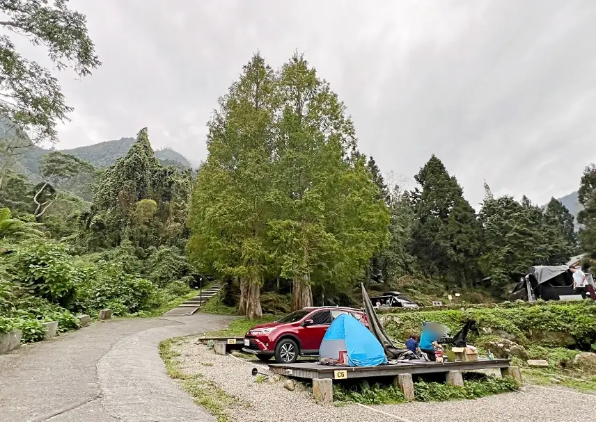 溪頭秘境步道 溪頭秘境步道