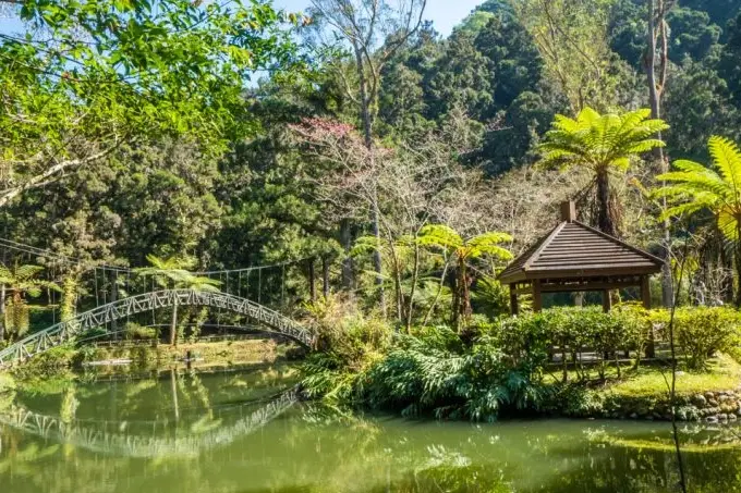 溪頭秘境步道 溪頭秘境步道