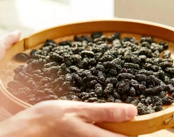 桑椹乾製作步驟 桑椹乾製作步驟