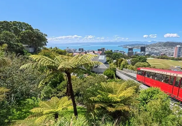 新西蘭租車攻略 新西蘭租車攻略