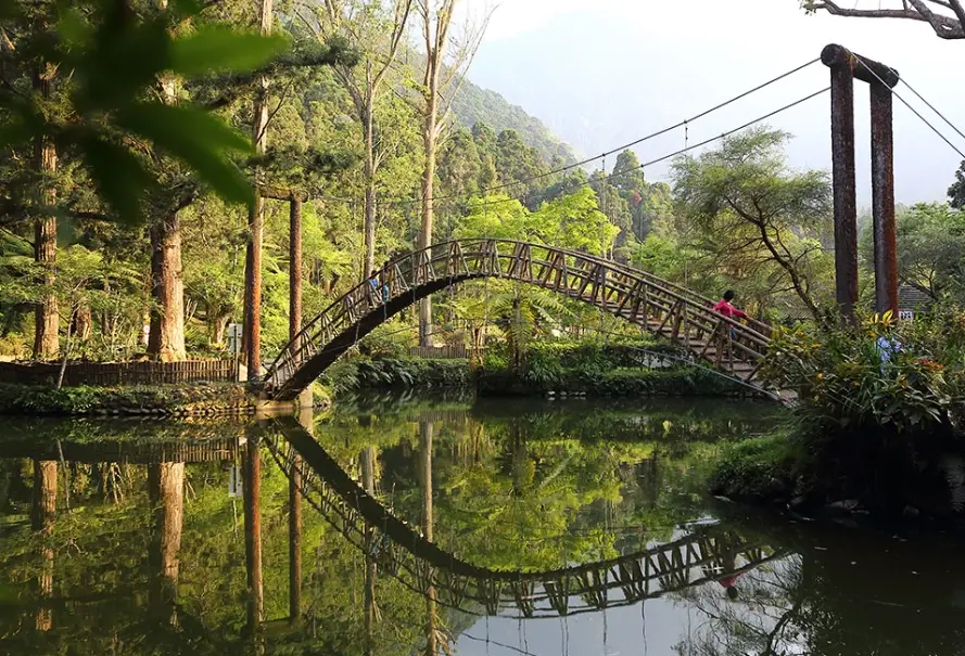 溪頭隱藏景點 溪頭隱藏景點