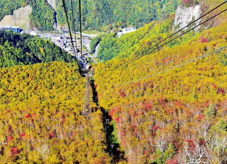 北海道紅葉 北海道紅葉