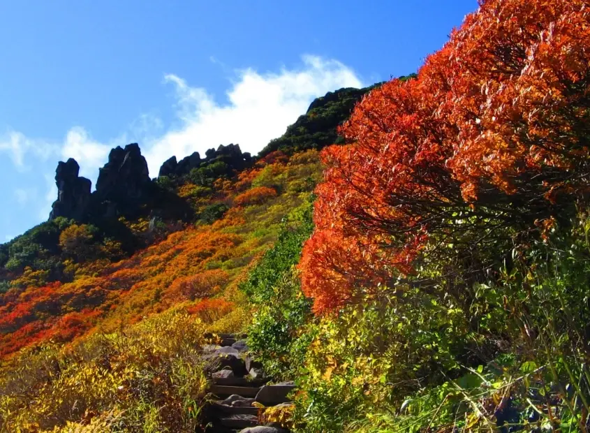 北海道紅葉景點 北海道紅葉景點