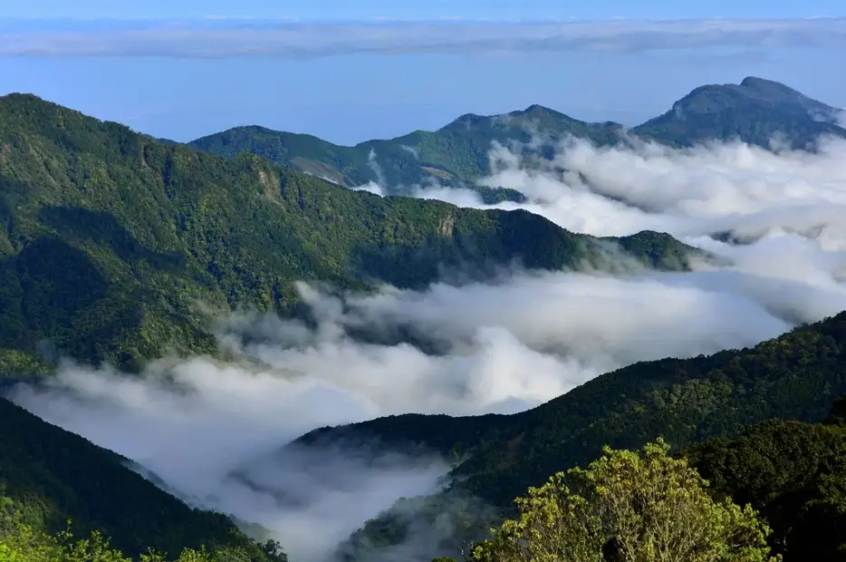 觀霧雲海