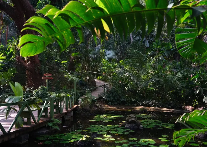 斐濟自由行攻略：南太平洋天堂的完整行程規劃與景點推薦