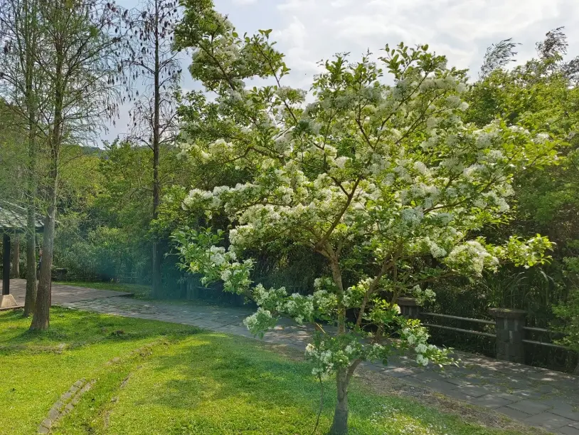 太陽廣場 太陽廣場