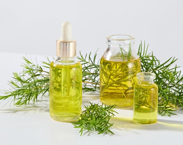 茶樹精油怎麼選 茶樹精油怎麼選