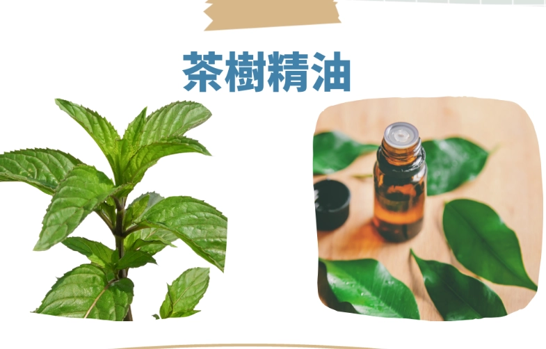 抗黴菌精油用法