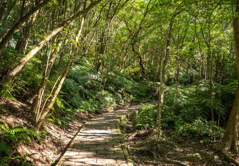 碧溪步道 停車場