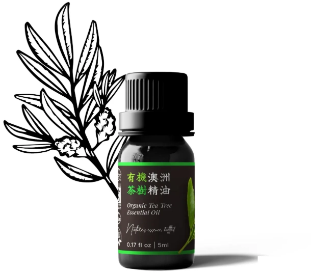 茶樹精油品牌推薦 茶樹精油品牌推薦