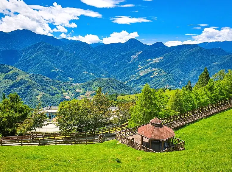 白马美食地图 白马美食地图