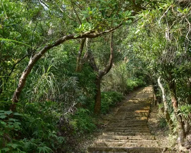 台北小溪頭怎麼去