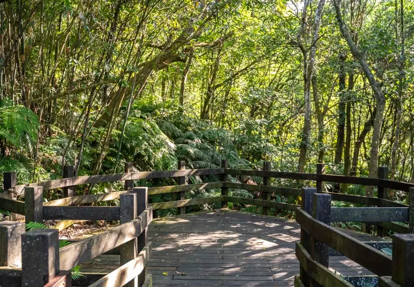 親子步道 親子步道