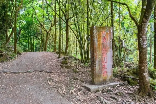 大凍山停車全攻略：避開人潮、輕鬆登頂的停車實戰心得