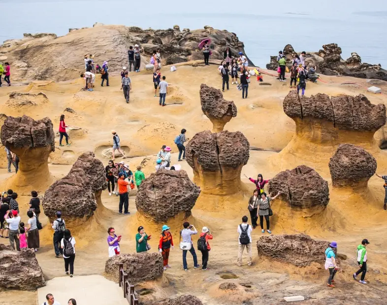 台北到野柳交通 台北到野柳交通