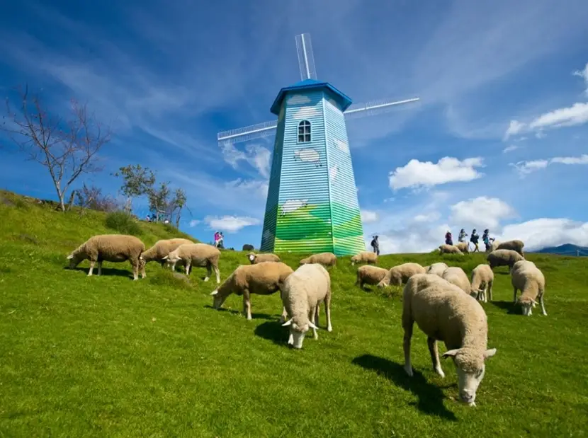 白马景点推荐 白马景点推荐