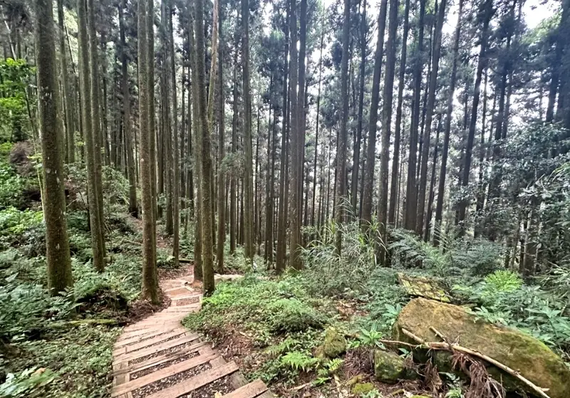 台南登山步道