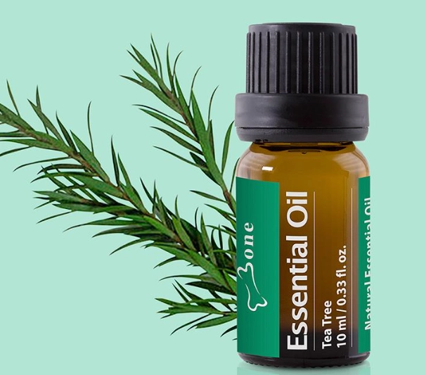 茶樹精油用途 茶樹精油用途