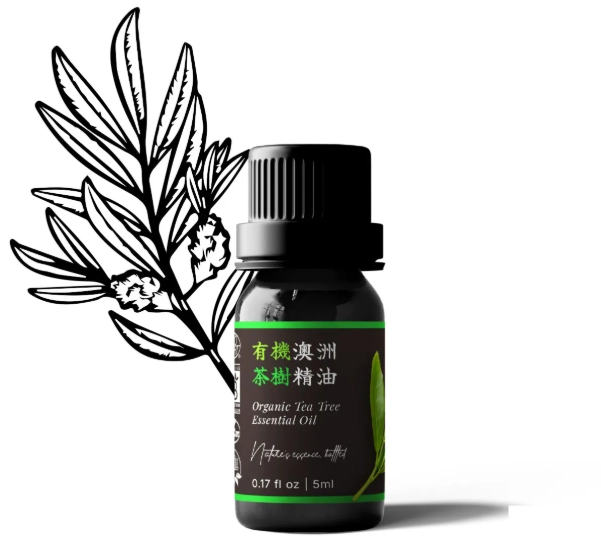 茶樹精油使用 茶樹精油使用