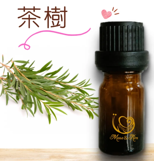 茶樹精油用途 茶樹精油用途