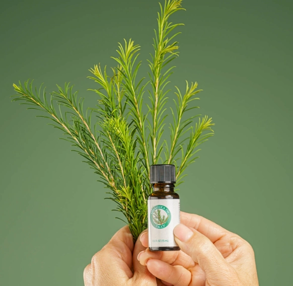 茶樹精油品牌推薦 茶樹精油品牌推薦