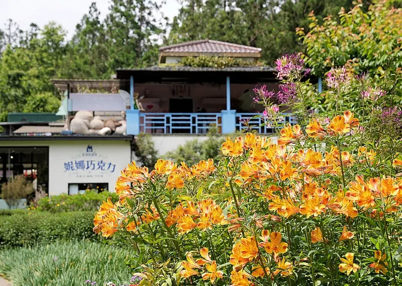 白马一日游行程 白马一日游行程