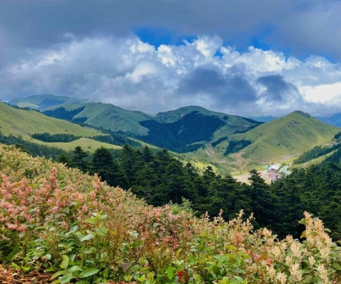 白马美食地图 白马美食地图