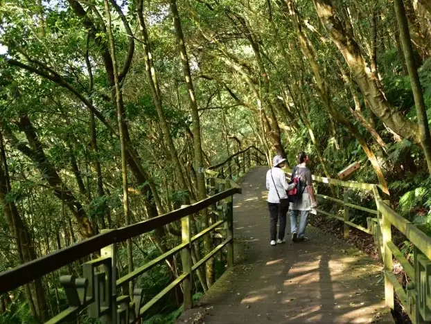 台北小溪頭怎麼去