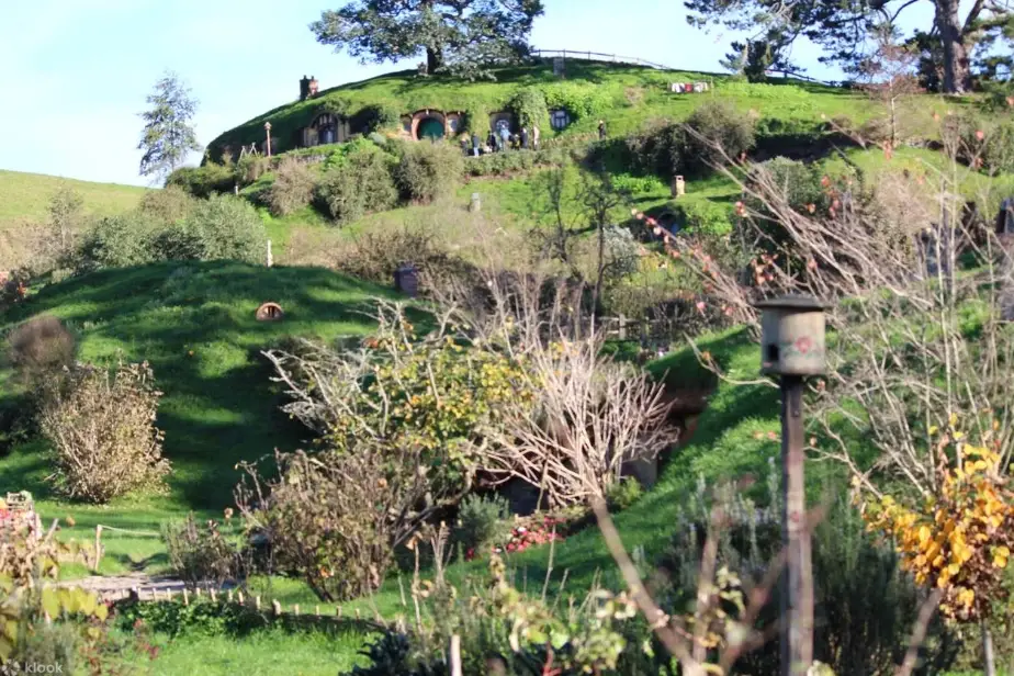 新西兰旅游攻略