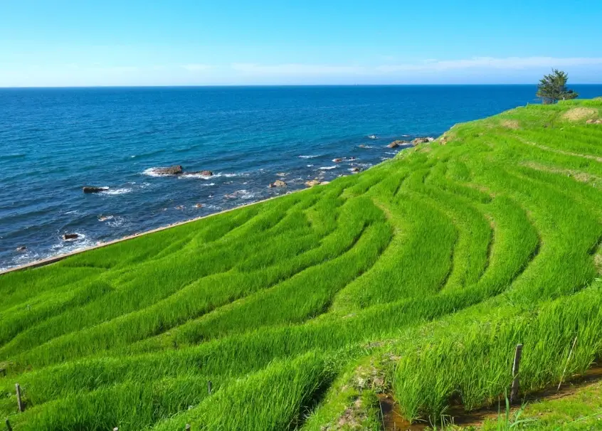 能登半島景點 能登半島景點