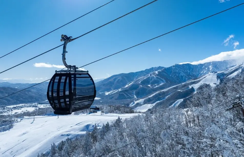 岩岳滑雪場雪票價格