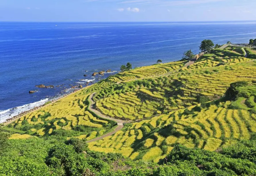 能登半島交通 能登半島交通