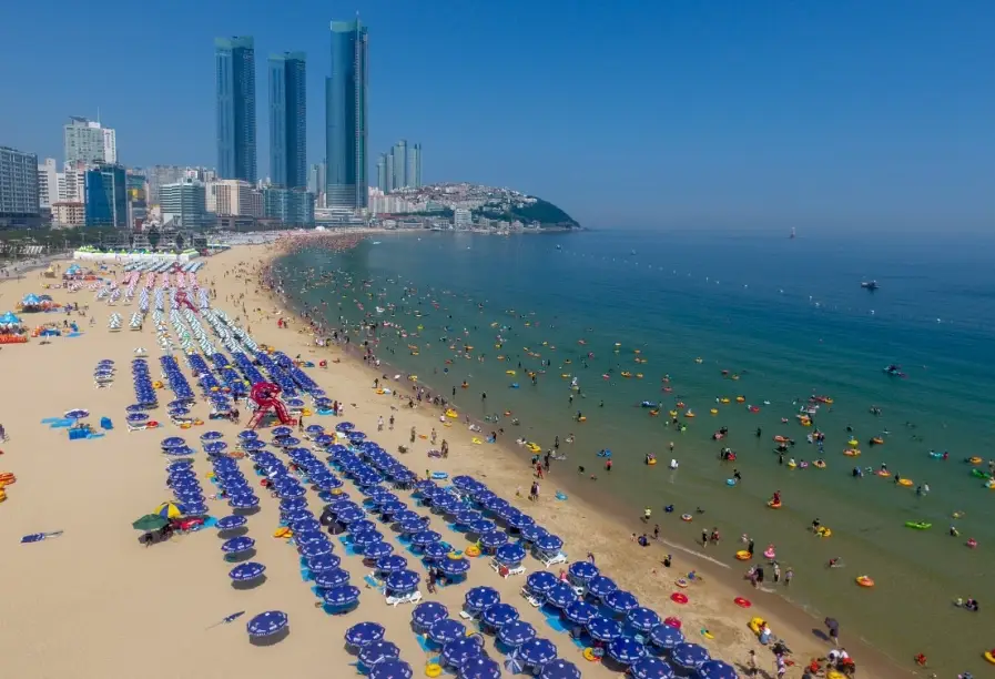 釜山夜生活 釜山夜生活