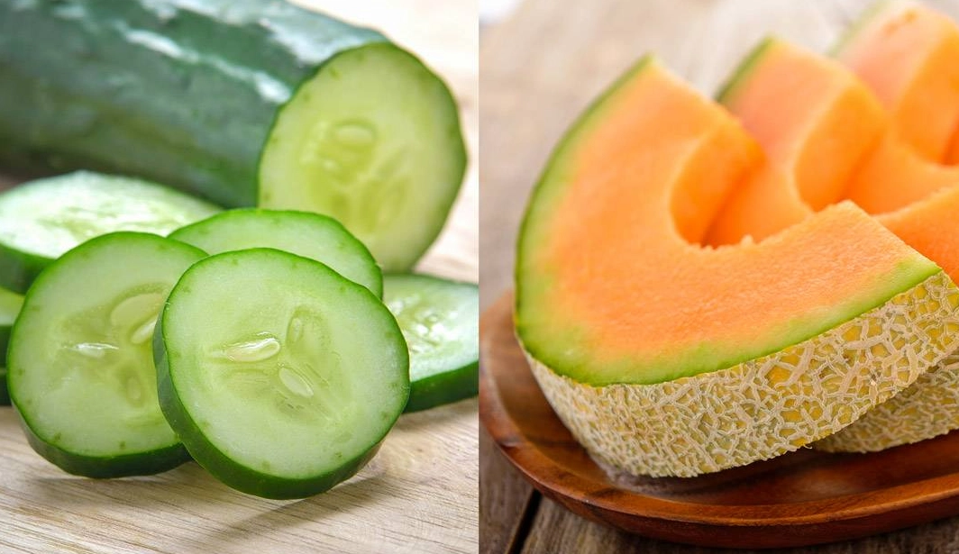 涼瓜降血糖 涼瓜降血糖