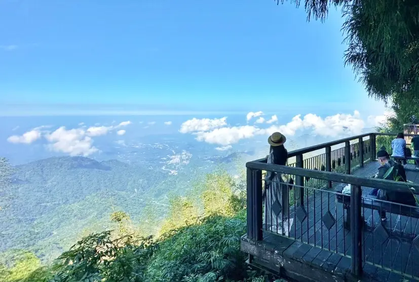 台南大凍山登山路線