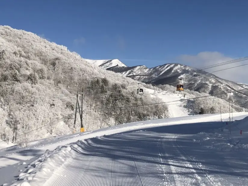 岩岳滑雪場雪票價格