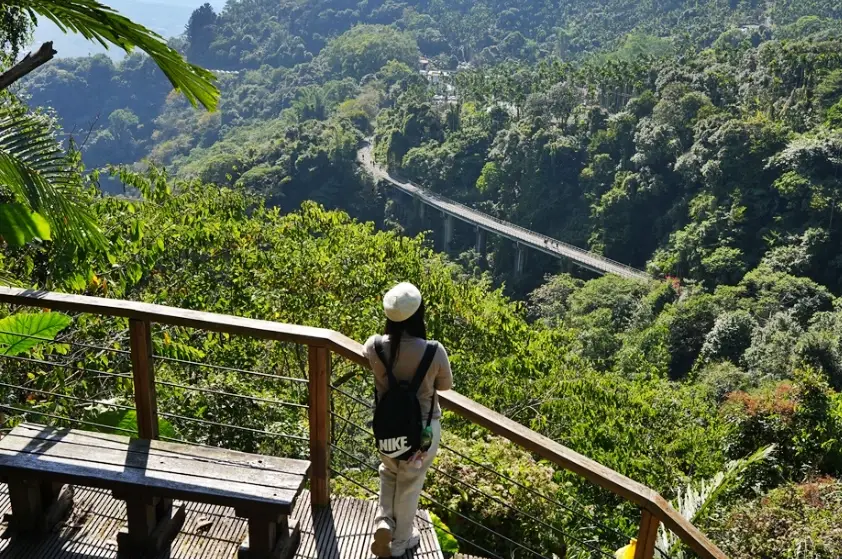 嘉義大凍山步道