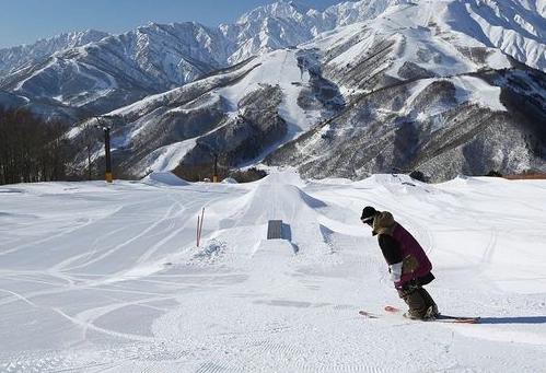 岩岳滑雪場雪票價格