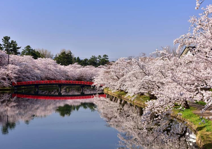 日本賞櫻景點推薦