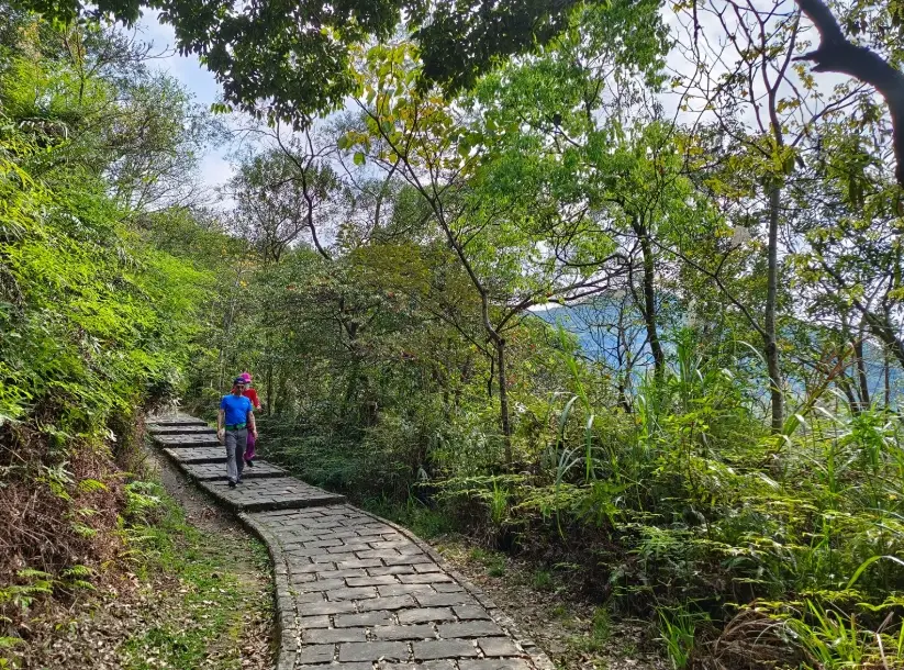 大崙頭尾山交通 大崙頭尾山交通