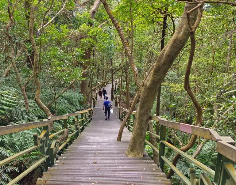 劍南路站 大崙頭尾山 劍南路站 大崙頭尾山