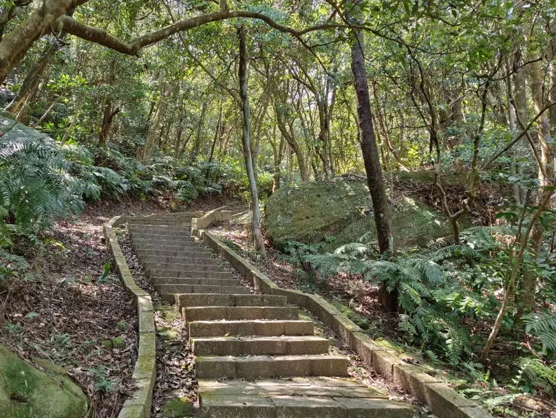 大崙頭尾山交通 大崙頭尾山交通