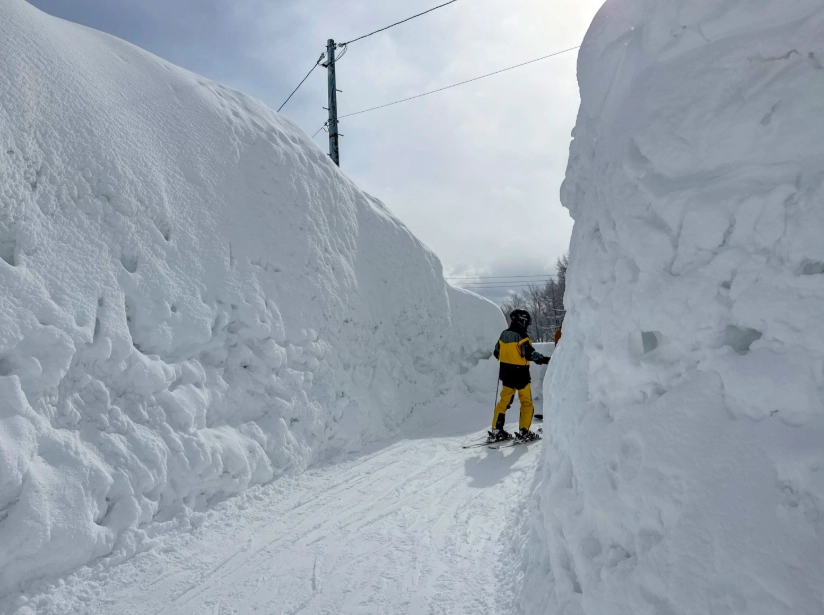 白馬滑雪場推薦